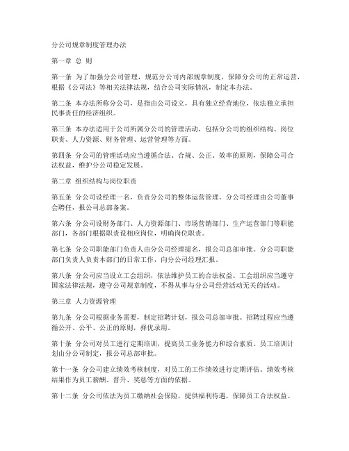 分公司规章制度管理办法