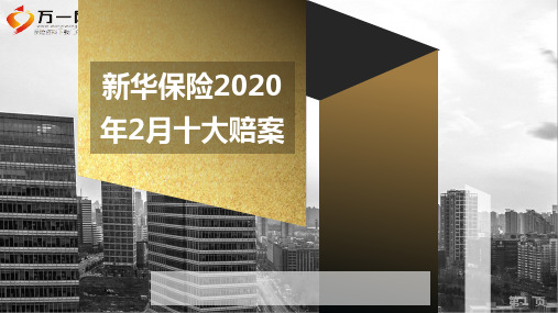 新华保险2020年2月十大赔案12页