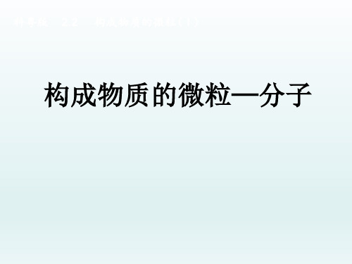 科粤版化学九年级上册 2.2 构成物质的微粒(1)—分子 课件(共19张PPT)