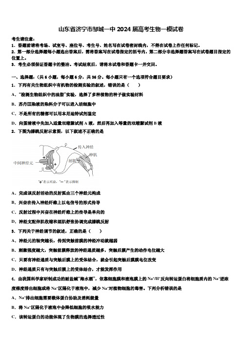 山东省济宁市邹城一中2024届高考生物一模试卷含解析