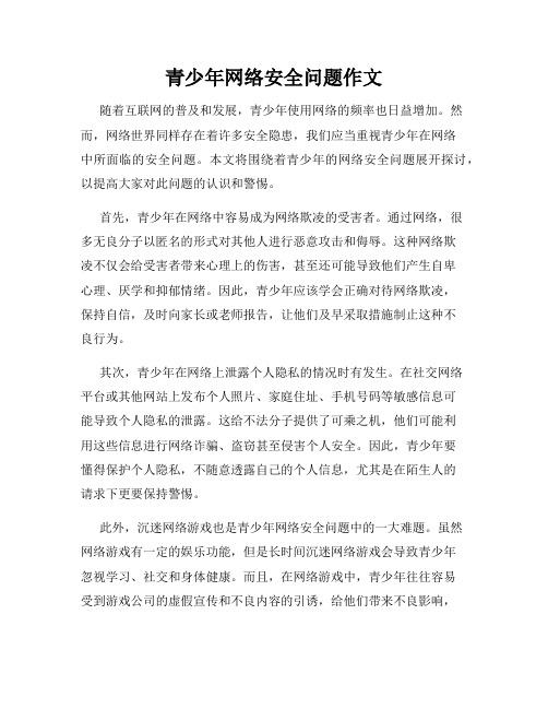 青少年网络安全问题作文