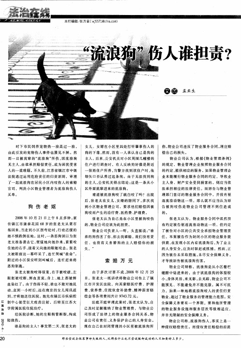 “流浪狗”伤人谁担责？