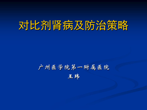 造影剂的肾脏损害及预防--王玮