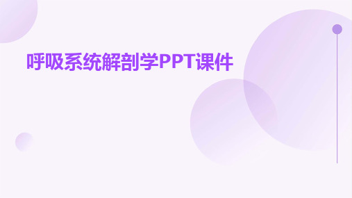 呼吸系统解剖学ppt课件