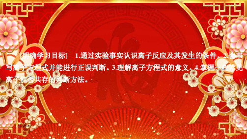 高中化学 第二章 化学物质及其变化 第二节 离子反应(第2课时)课件 第一册高一第一册化学课件