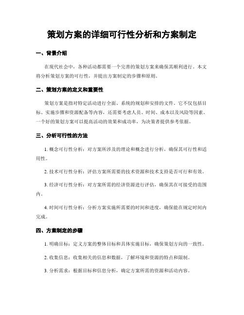 策划方案的详细可行性分析和方案制定