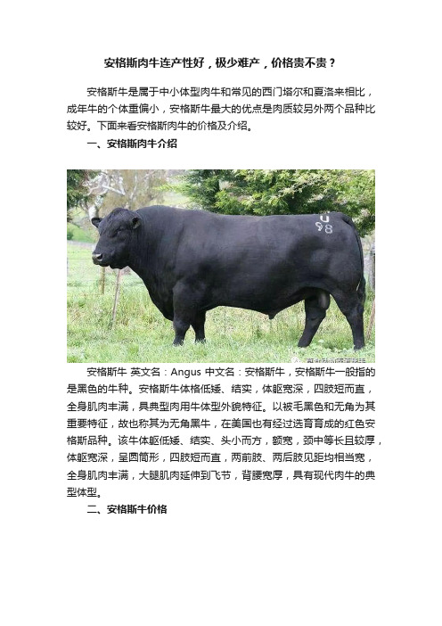 安格斯肉牛连产性好，极少难产，价格贵不贵？