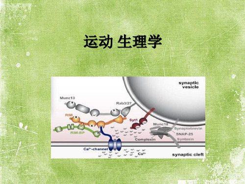 运动生理学课件(全)