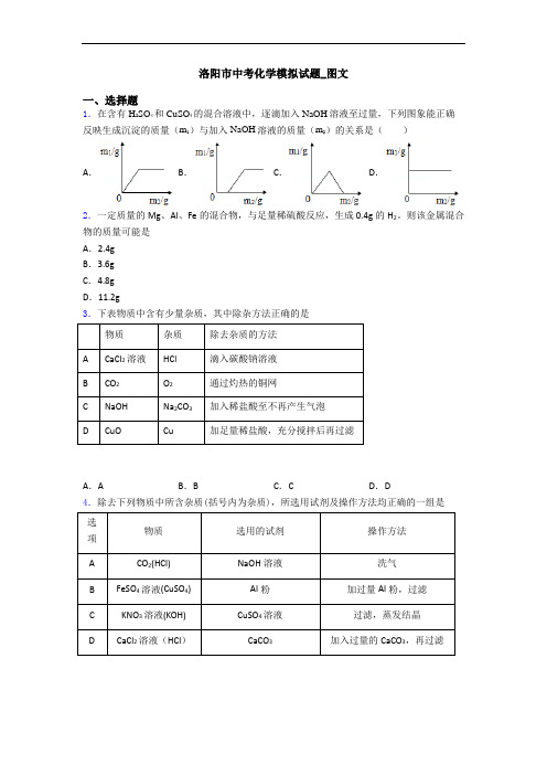 洛阳市中考化学模拟试题_图文