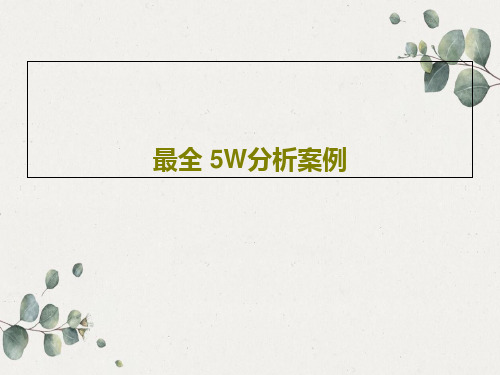 最全 5W分析案例共26页文档