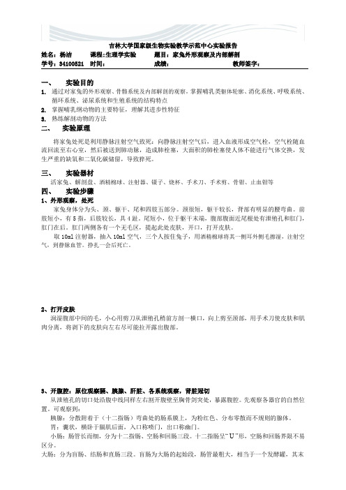家兔解剖实验[精品文档]