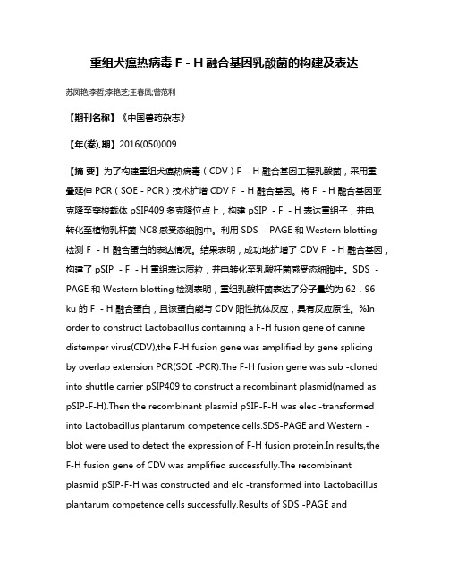 重组犬瘟热病毒F－H融合基因乳酸菌的构建及表达