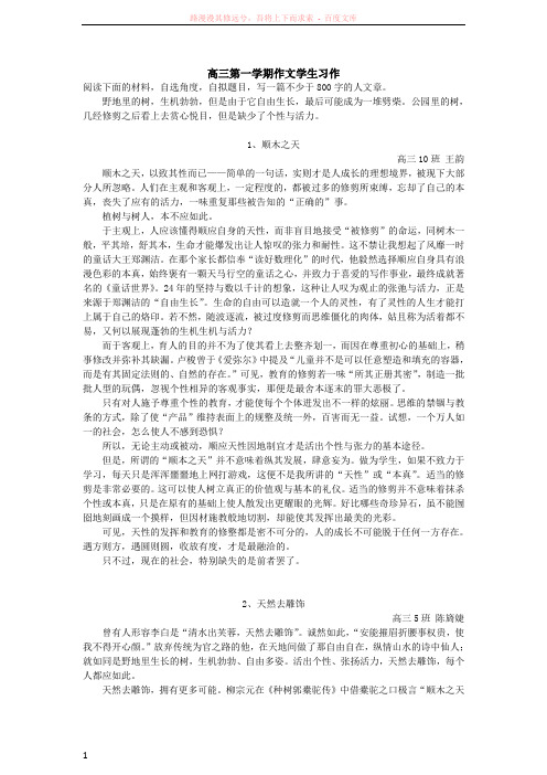 野地里的树和公园里的树学生习作