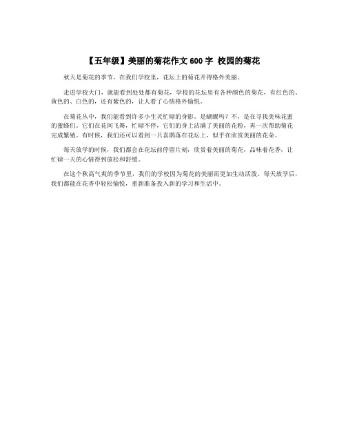 【五年级】美丽的菊花作文600字 校园的菊花