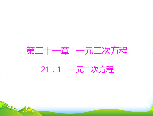 人教九年级数学上册《一元二次方程》课件(共13张PPT)