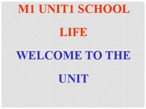 湖南省醴陵市第二中学高中英语 Unit1 Warming up Read