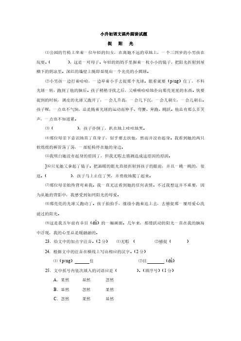 小升初语文课外阅读试题06及答案