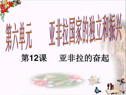 【初中历史】2017-2018学年九年级历史下册教学课件ppt(26份) 人教版21
