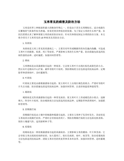 玉米常见的病害及防治方法