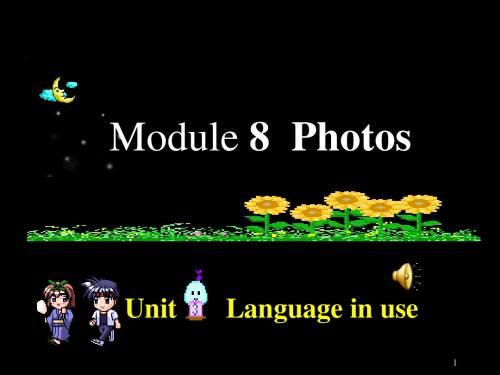 英语:外研版九年级上Module8 Unit3《Language in use