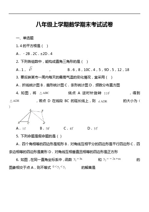 八年级上学期数学期末考试试卷第167套真题