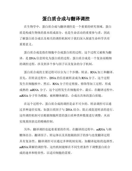 蛋白质合成与翻译调控