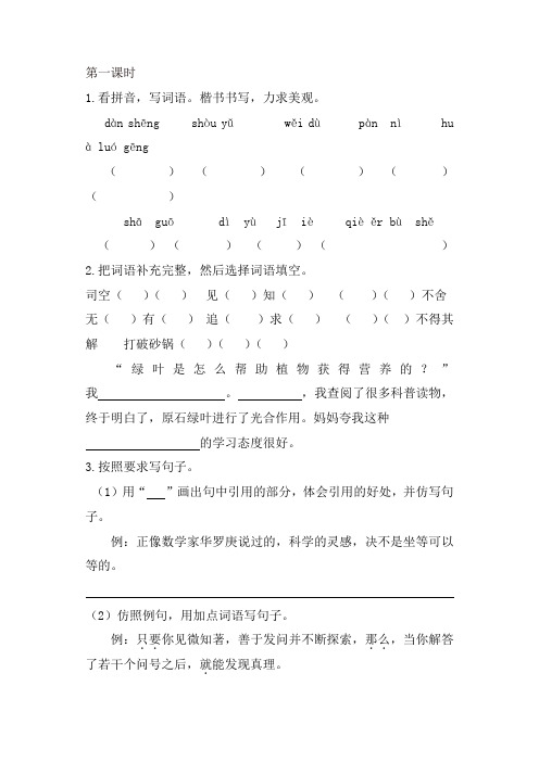 人教部编版六年级语文下册16真理诞生于一百个问号之后课时练
