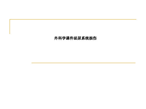 外科学课件泌尿系统损伤