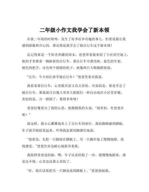 二年级小作文我学会了新本领