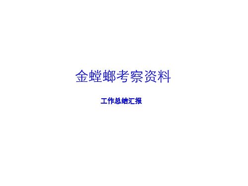 金螳螂内部详细介绍资料