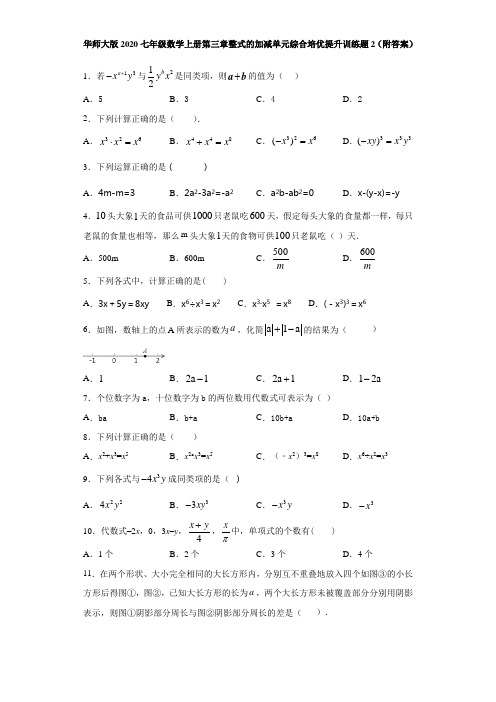 华师大版2020七年级数学上册第三章整式的加减单元综合培优提升训练题2(附答案)