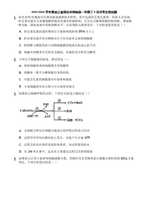 2023-2024学年黑龙江省绥化市绥棱县一中高三9月月考生物试题