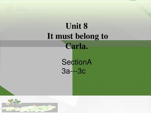 人教九年级Unit8_SectionA(3a-3c)课件(共19张PPT)