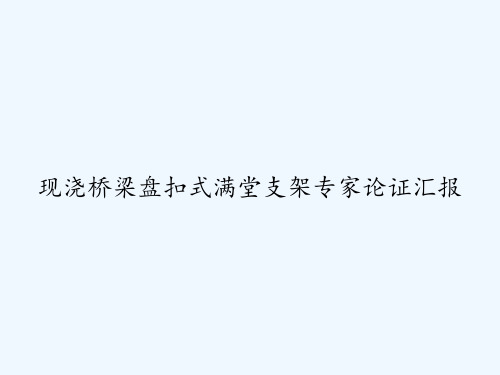 现浇桥梁盘扣式满堂支架专家论证汇报 PPT