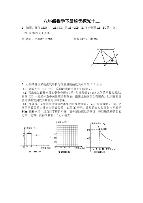 八年级数学培优专题12