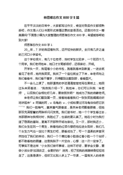 师恩难忘作文800字5篇