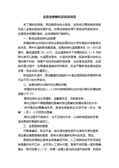 金鱼鱼卵孵化及鱼苗培育