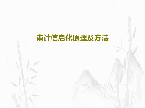 审计信息化原理及方法30页PPT