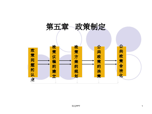 《政策制定》PPT课件