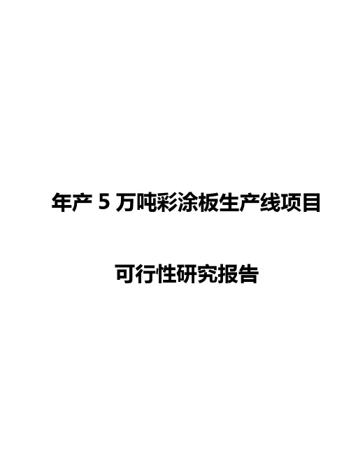 年产5万吨彩涂板生产线项目可行性研究报告报发改委