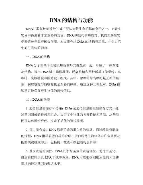 DNA的结构与功能