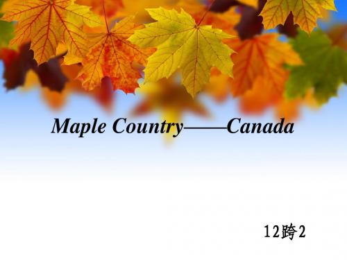 Maple Country