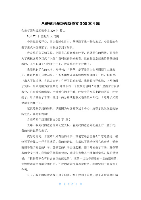 含羞草四年级观察作文300字4篇