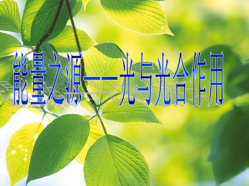 人教版生物必修一5.4《能量之源——光与光合作用》课件(共24张PPT)