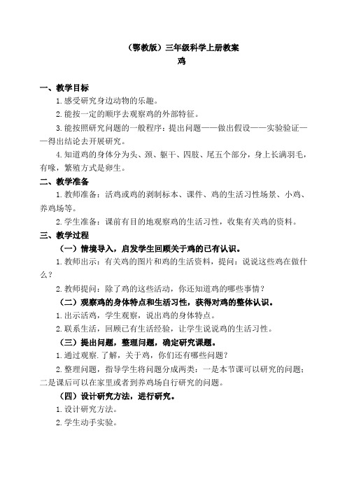 鄂教版三年级科学上册教案 鸡教学设计