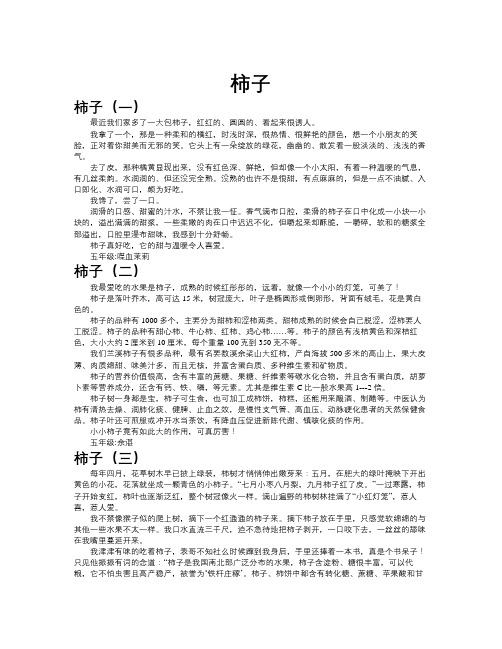 柿子作文共九篇