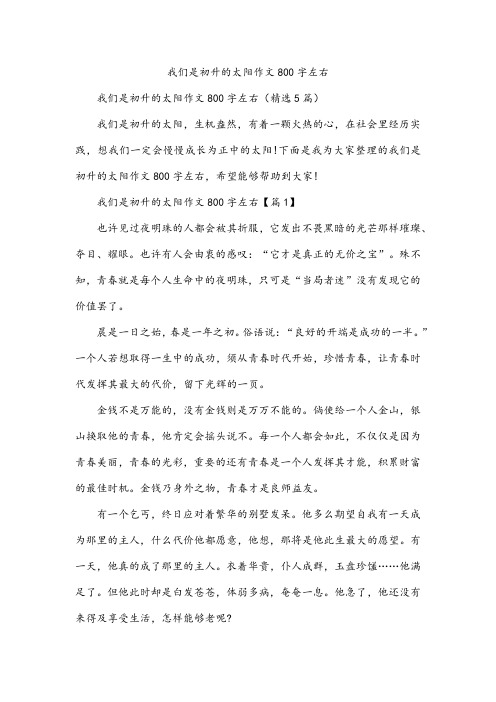 我们是初升的太阳作文800字左右