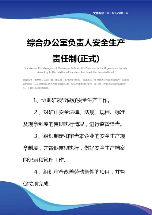 综合办公室负责人安全生产责任制(正式)