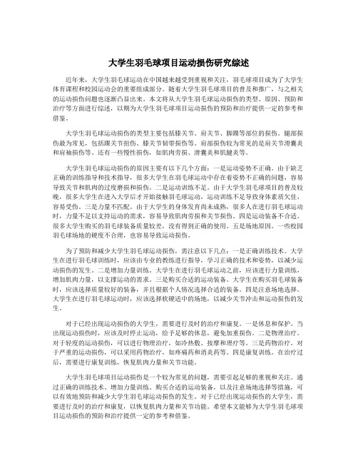 大学生羽毛球项目运动损伤研究综述