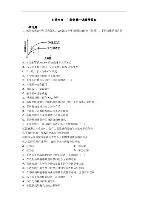 东营市高中生物必修一试卷及答案